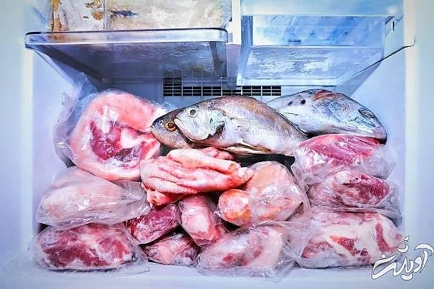 نگهداری گوشت و مرغ